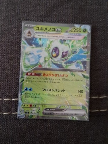 Pokémon raging surf - pokémon,