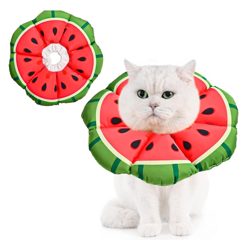Halskrause katze einstellbar - halskrause,