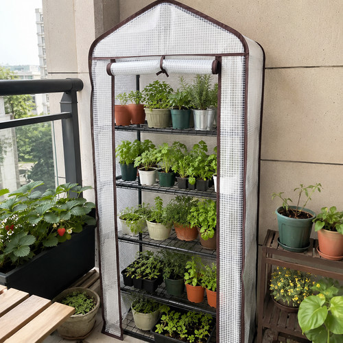 Tomatengewächshaus