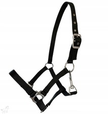 Halfter für Fohlen, Shetty