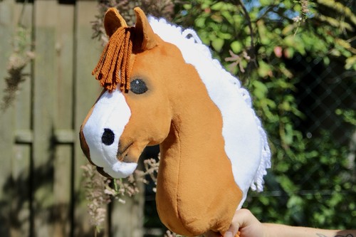 Hobby horse hobbyhorse - hobbyhorse, /