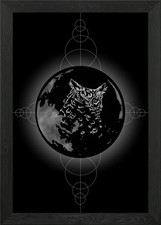 Nachtjäger gerahmtes Wandbild