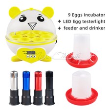 Intelligent 9/12/15 Eggs