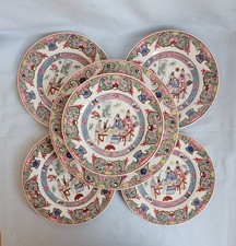 Chinesischer Familie -Rose