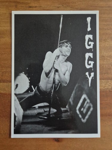 Alte postkarte iggy - alte, pop