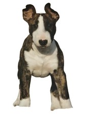 DogTalking Fachlich Kritisch