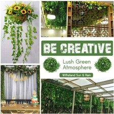 12 Stück Hängepflanze