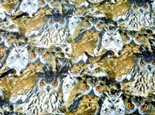 Designerstoff  Stoff Eule