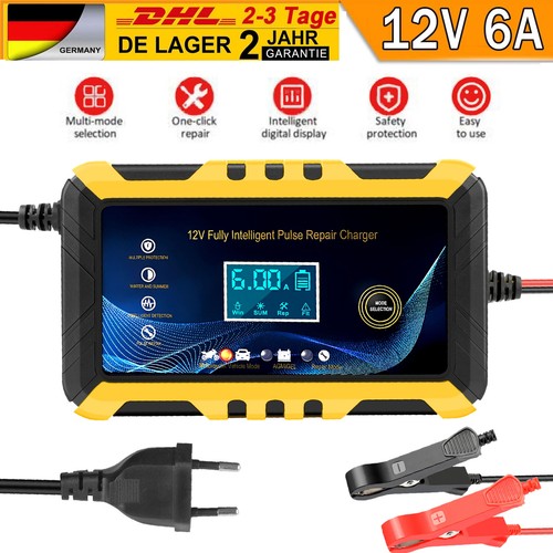 12v intelligentes - 6a,