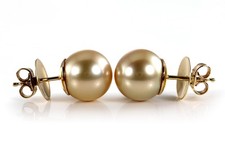 Schoeffel Südsee Perlen Ohrstecker goldfarben ⌀ 12 mm 750 Gelbgold [BRORS 19976]