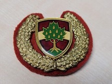 ÖSTERREICH STADTPOLIZEI DORNBIRN VORARLBERG MÜTZENABZEICHEN AUSTRIA POLICE