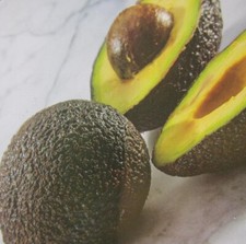 Persea americana 'Hass' -