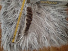 Mäusebussard Feder  Schmuck Tracht Hut Gesteck Deko Hut Schmuck Basteln Ohrringe