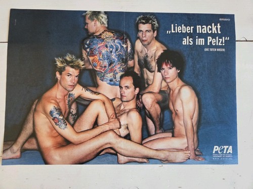 Die toten hosen - toten, /