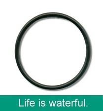 Dichtring für Hansgrohe