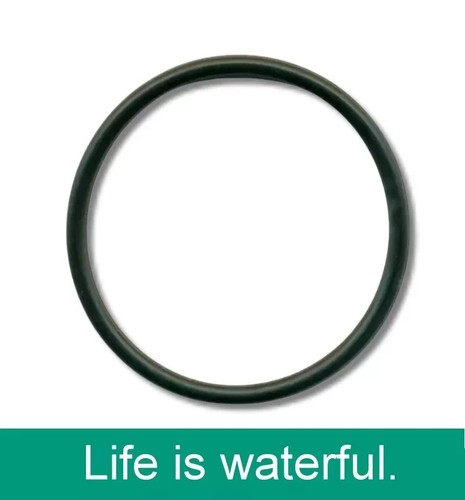 Dichtring für hansgrohe - dichtring,