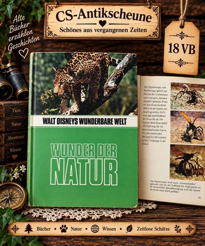 Antikes kinderbuch walt - antikes, „walt