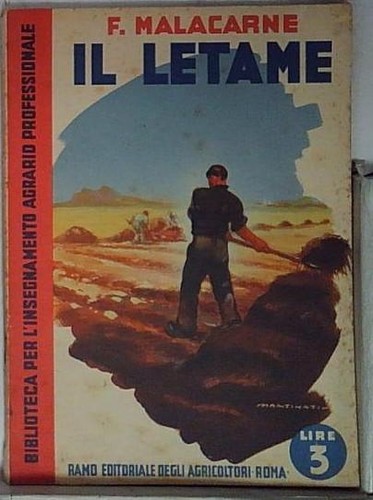 Malacarne il - -,