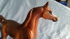 peter stone araber radar love special run limited edition arabian Breyer mit ovp