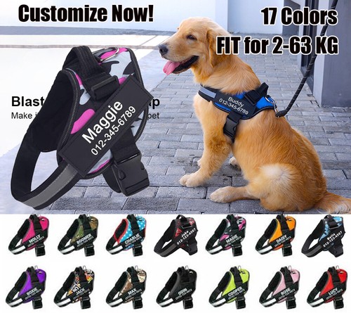 Personalisierte hundegeschirr - personalisierte,