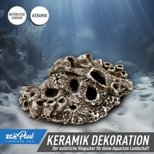 🌊 ZooPaul Aquarium Keramik