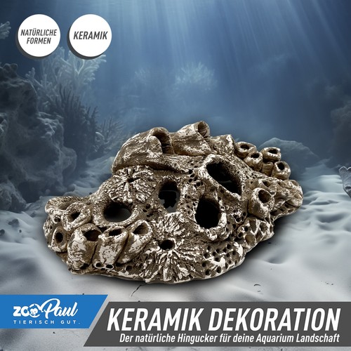 Zoopaul aquarium keramik - 🌊,