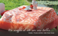 GARNIER-THIEBAUT LES PLUMES (