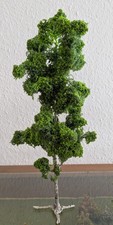Birke baum modellbau 32 - baum, 1:32