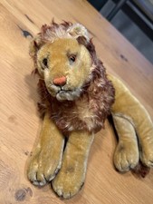 VIDEO_Löwe Leo, liegend  aus