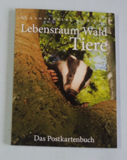 1x Postkartenbuch TIERE Wald 15 Motiv Postkarten Fuchs Maus Waschbär Hirsch Eich