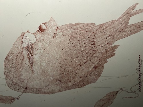 Bild zeichnung vogel - bild, /zeichnung