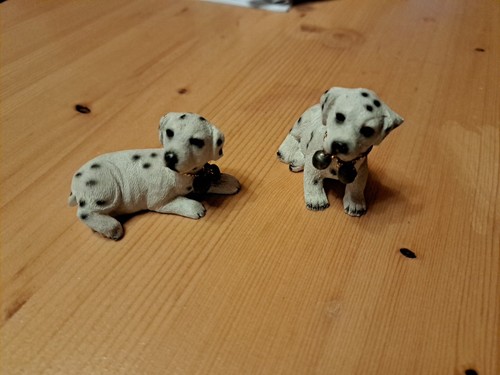 Miniatur dalmatiner - 2,
