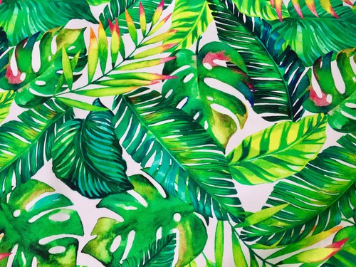 Banane tropical leaves - tropical,
