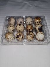 Frische Speiseeier, Wachtel