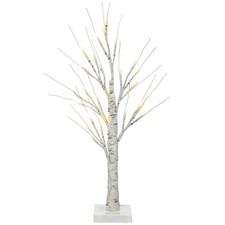  Beleuchteter Birkenbaum