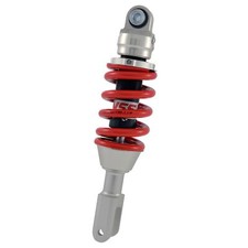 Federbein Gasdruck