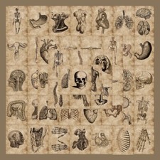 56 Stck. Strukturdiagramm