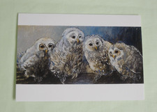 1x Postkarten EULEN Loes