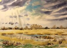 Cambridgeshire Venn Sumpf