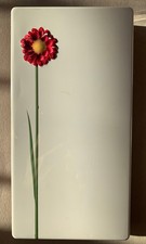 Metalldose rot weiß Blume