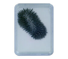 EISENPULVER-BOX 1x Magnetismus