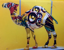 Sammlerstück Design POP ART