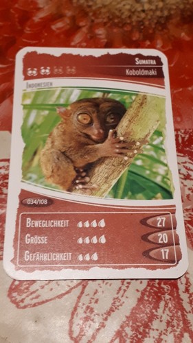 Ozeanien schätze unseres - schätze,