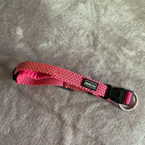 Anione hunde halsband - anione, hunde-halsband
