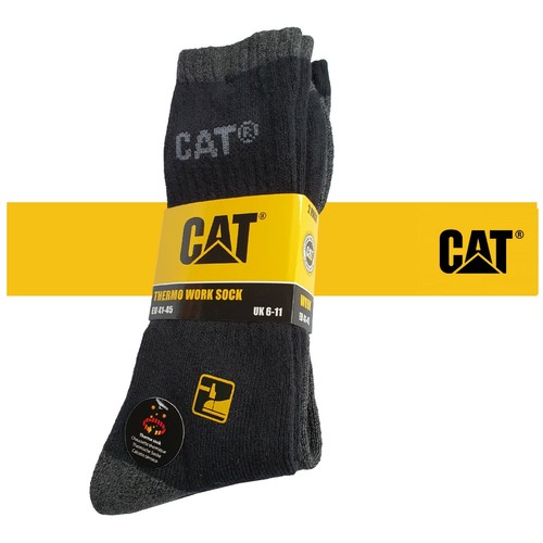 Cat caterpillar - cat,
