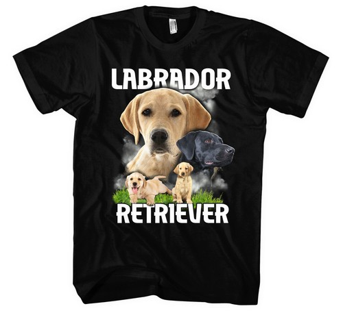 Labrador retriever männer - labrador,