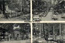 Ak Siegmar Chemnitz in Sachsen, Pelzmühle bei  Gartenlokal, Tische... - 4855846