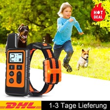Elektroschock Pet Dog Training