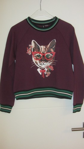Divided süßer katzen - h&m,