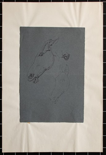 Theodor volmar pferd studie - pferd,